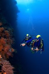 Father and daughter on a Wakatobi wall dive by Karl Dietz 